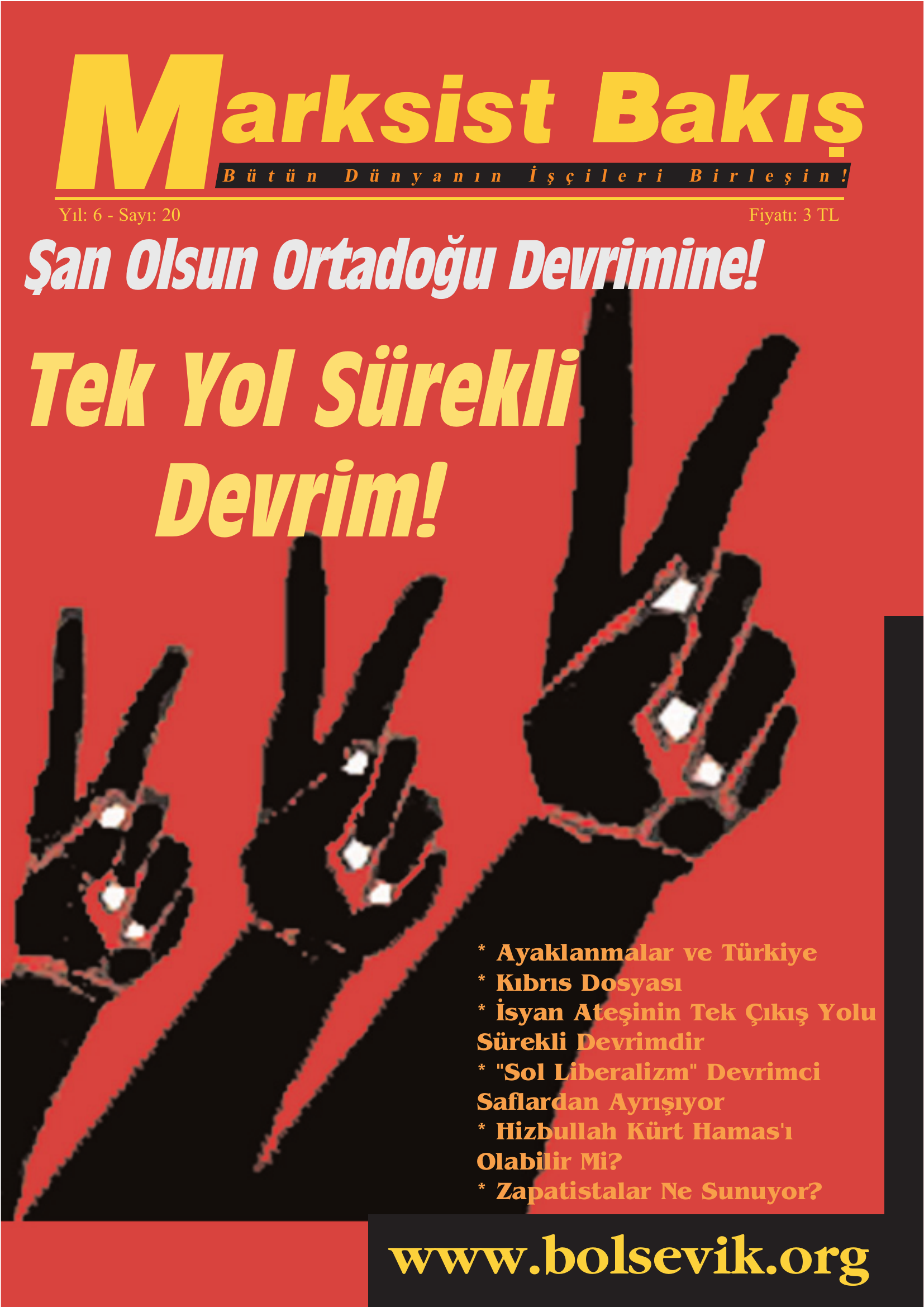 Marksist Bakış 20. Sayı